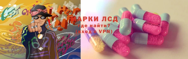 гидра Михайловск