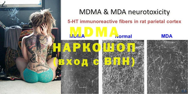 индика Абаза