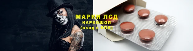 индика Абаза