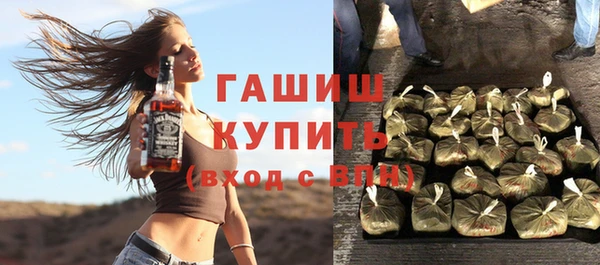 индика Абаза