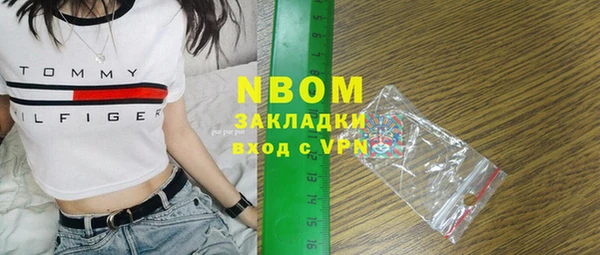 индика Абаза