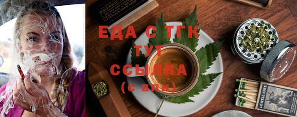 индика Абаза