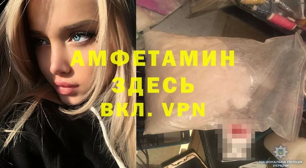 индика Абаза