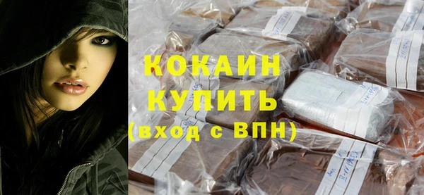 индика Абаза