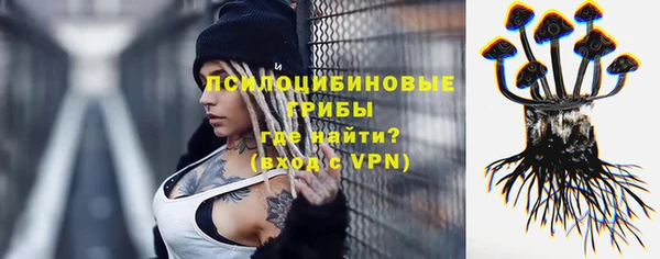 spice Абинск