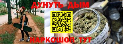 стаф Краснодар