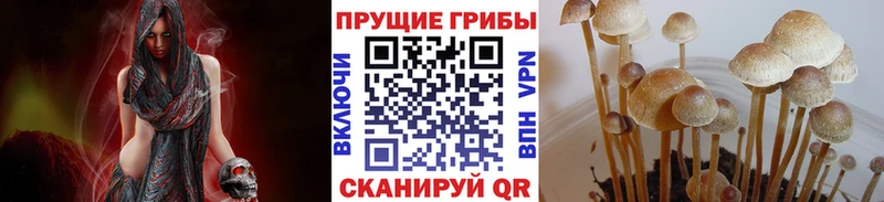 Галлюциногенные грибы Magic Shrooms  закладка  Фурманов 