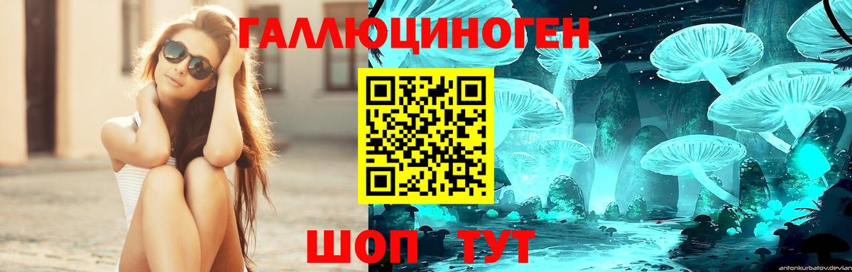 Фурманов  Псилоцибиновые грибы мухоморы  Вход с VPN 