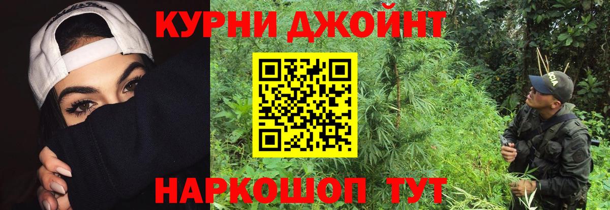 Каннабис MAZAR Фурманов